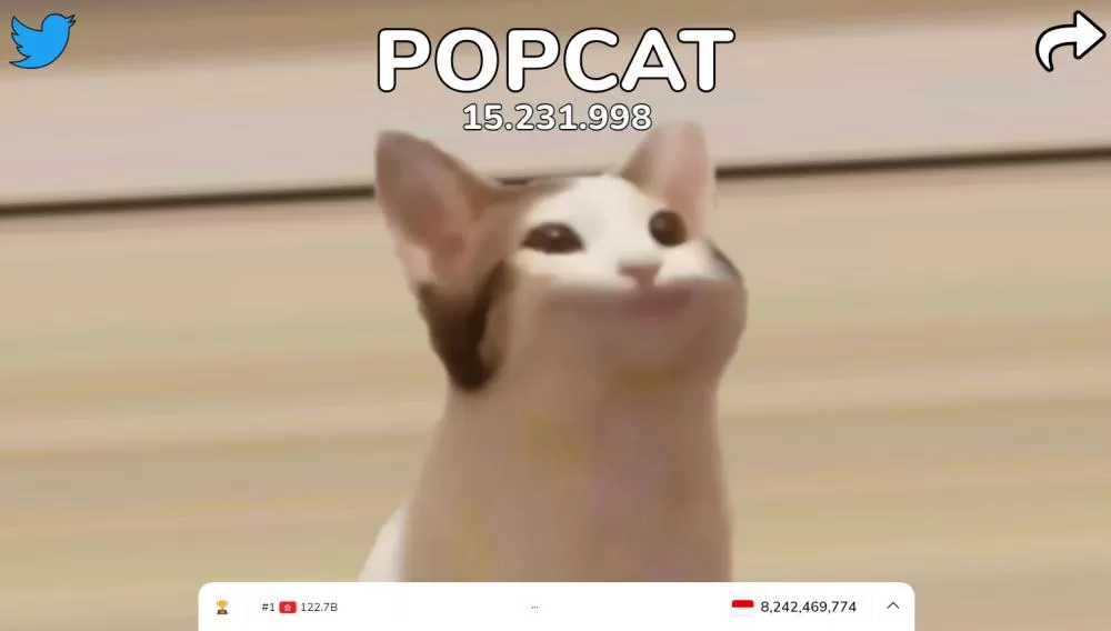 Popcat hack